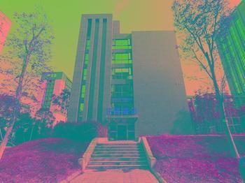 Wangsu Business Hotel Binjiang Esterno foto